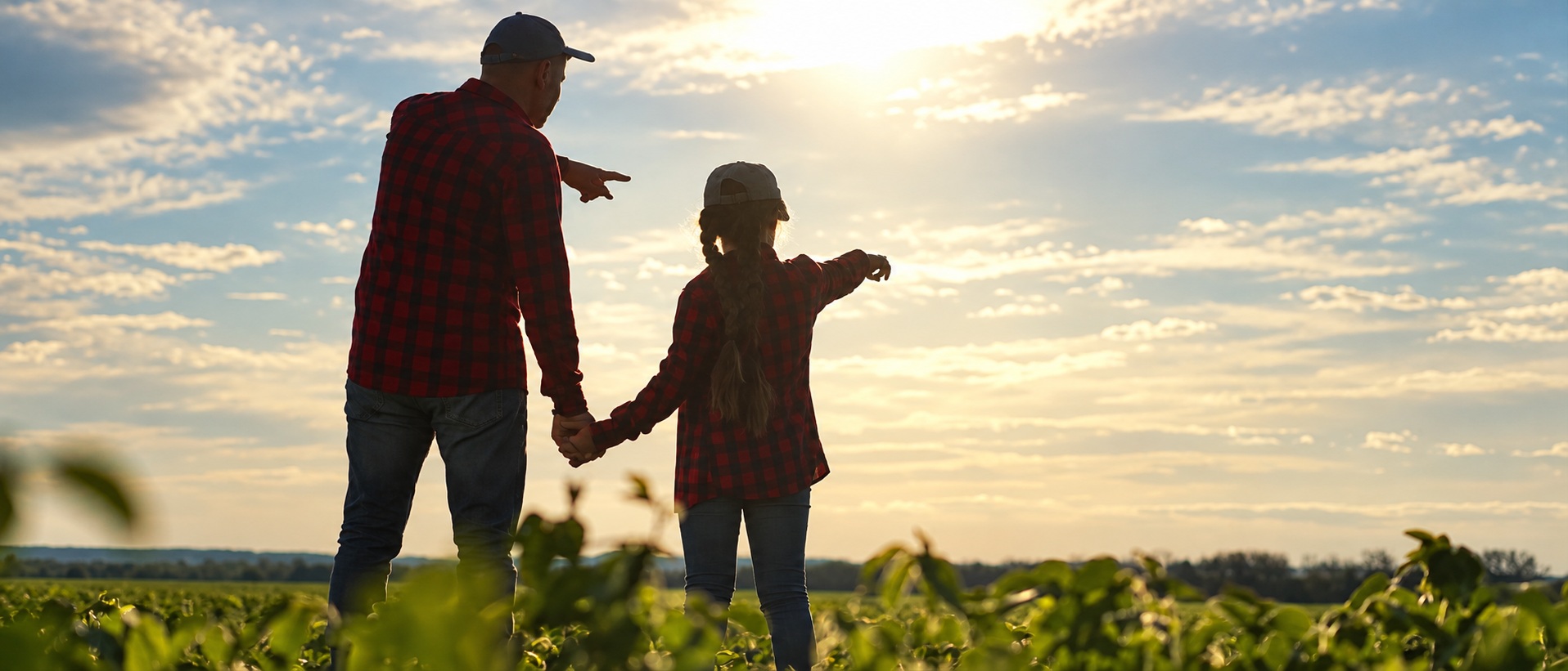 Un adulto y una niña recorren juntos un cultivo al atardecer