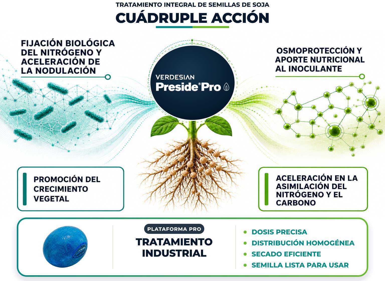 Tratamiento integral de semillas de soja de cuádruple acción: fijación biológica, osmoprotección, promoción del crecimiento y asimilación de nitrógeno y carbono