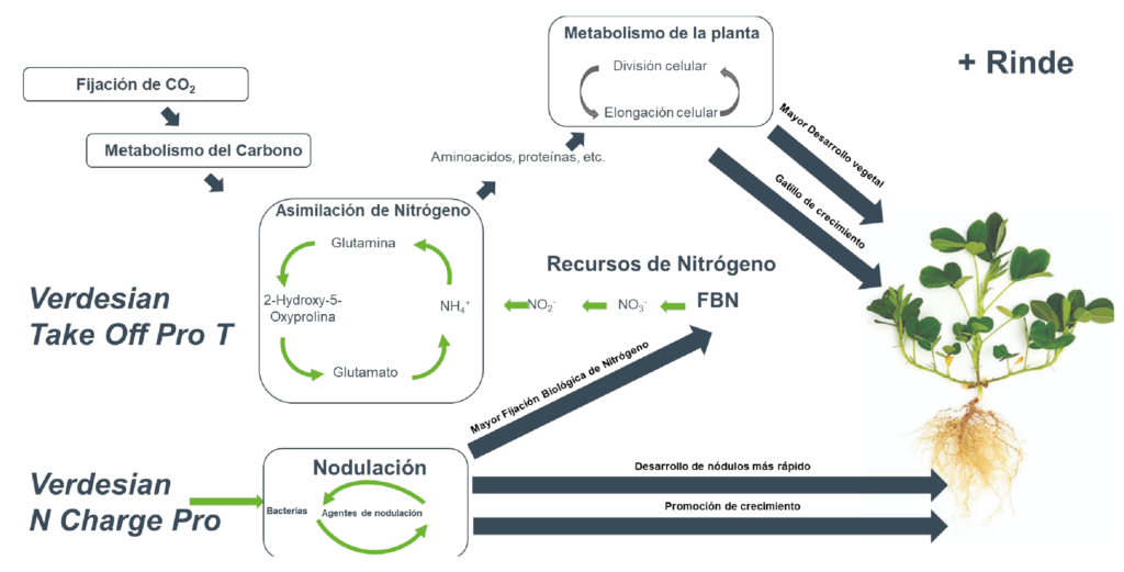 cuadro-n-charge-01